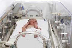 Handle with care: life inside the NZ Newborn Intensive Care Unit